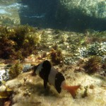 Road Trip Sud Part 1 - 44