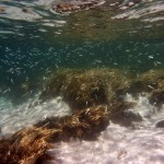 Road Trip Sud Part 1 - 47