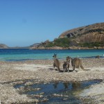 Road Trip Sud Part 1 - 48