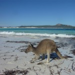 Road Trip Sud Part 1 - 49