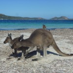 Road Trip Sud Part 1 - 50