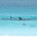 Road Trip Sud Part 1 - 56