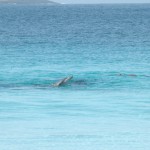 Road Trip Sud Part 1 - 57