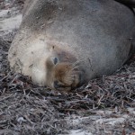 Road Trip Sud Part 1 - 73