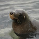 Road Trip Sud Part 1 - 74