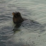 Road Trip Sud Part 1 - 75