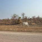 Sur la route Kx-Bm16