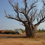 Sur la route Kx-Bm20